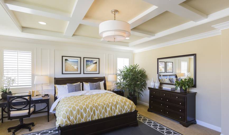 Acclaim painting and restorations